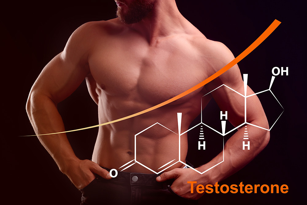 does a vasectomy reduce testosterone levels, vasectomy sperm transport, male hormone production, testosterone unaffected by vasectomy