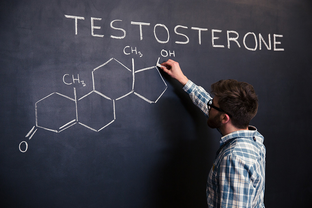 does a vasectomy reduce testosterone levels, testosterone production, male hormone production, testicle hormone function