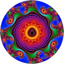 Aaron Colusso profile picture