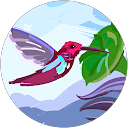 Stephanie Pentony profile picture